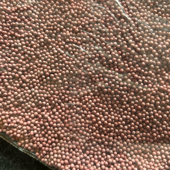 🇨🇦 2025 Canadian Tobacco Seeds 🇨🇦 - Picture 3 of 6